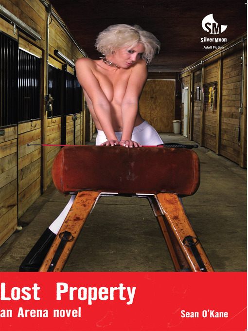 Cover image for Lost Property
